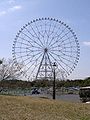 Diamond and Flower Ferris Wheel, in Tokyo.