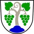 Wappen von Občina Vipava