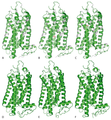 Errodopsina egitura ezberdinen hiru dimentsiotako (3D) simulazioa.