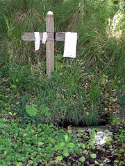 Saint-Antoine de la Traverse d'Escource. Les malades laissent leurs linges usagés près de la fontaine comme des ex-voto.