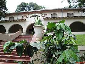 Le musée du café Francisco Schimdt, campus de l'USP.