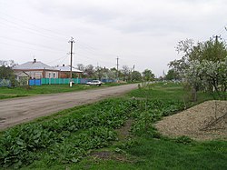 The village of Chernyshev, Shovgenovsky District