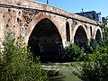 Ponte Milvio from the side