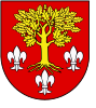 Coat of arms of Poddębice County