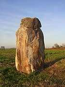 Megalite di Guillay.