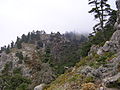 Habitat with trees, Sierra de las Nieves, Andalucia, España