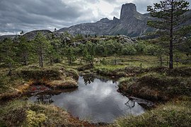 Wilderness near Bodø 2 - panoramio.jpg