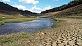 Le Blavet au niveau du lac de Guerlédan lors de l'assec 2015.