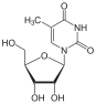 Kemia strukturo de 5-metilluridino