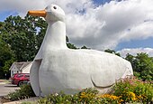 Big Duck