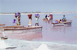 Lac Rose (zoutwinning)