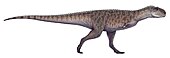 Rajasaurus