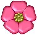 Provincial flower: Wild Rose