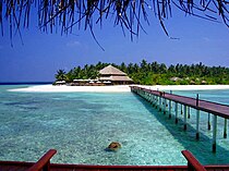 O Maldives