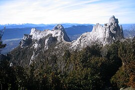 Crête versant Sud.