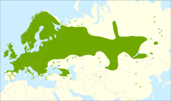 Rääiđi levânem Euroopist já Aasiast