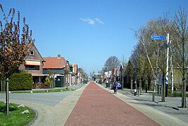 De Duimstraat (2008)