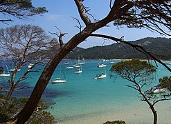 The beach of la Courtade in the Iles d'Hyeres.