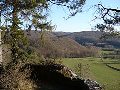 Vue du perchoir.