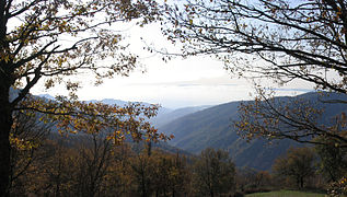 La vallée de l’Amato dans la commune de San Pietro Apostolo.