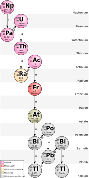 Une représentation de la chaîne de désintégration du neptunium 237.