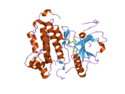 2ito: CRYSTAL STRUCTURE OF EGFR KINASE DOMAIN G719S MUTATION IN COMPLEX WITH IRESSA