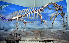 Esqueleto de espinossauro (Irritator).