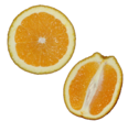 Jagoda oranževca (Citrus sinensis); lupina pomaranč je perikarp, ki se deli na oranžni eksokarp, beli mezokarp in tanki endokarp, ki ovija predale in krhlje. Krhlji so notranji deli plodnih listov.