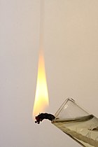 vegetable oil burning on a wick