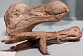 Gipsabdruck des Kopfes und eines Fußes des Dodos im Booth Museum of Natural History (Brighton, England)