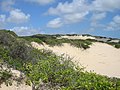 Dune in Natal, (Brazil).