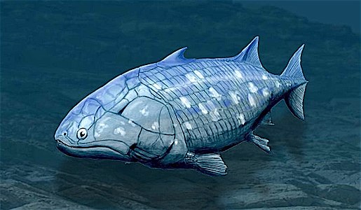 Guiyu oneiros, the earliest-known bony fish, lived during the Late Silurian, 419 million years ago). It has the combination of both ray-finned and lobe-finned features, although analysis of the totality of its features places it closer to lobe-finned fish.