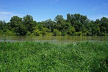 Fleuve Rhône à Grigny.