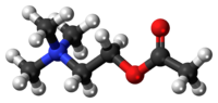 Image illustrative de l’article Acétylcholine