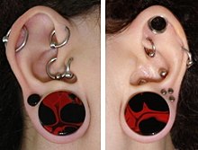 Oreille modifiée, techniques et matériaux contemporains