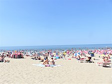 Strand Zandvoort