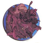 Dulse (Palmaria palmata)