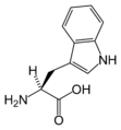 L-Tryptofaani (Trp / W)