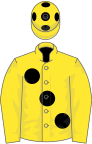Yellow, black large spots, yellow sleeves, yellow cap, black spots