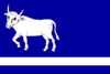 Vlajka obce Dlouhá Stráň