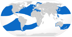 Distribuição natural de tubarão-peregrino