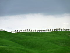 Pamje kodrinore in Val d'Orcia