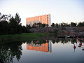 Juni 2007: Idyllische Baumonstren: Das Krankenhaus Meilahti in Helsinki.