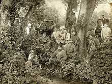 A group of soldiers in a forest