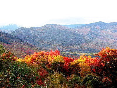 Nazyma w New Hampshire