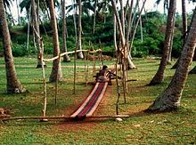 Workman in coconut field