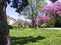 Promenade am Liboriberg