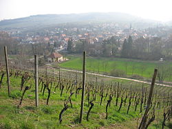 Skyline of Soultz-les-Bains