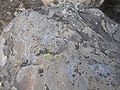 Petroglyph in Roque Bentayga, Gran Canaria, Kanarische Inseln