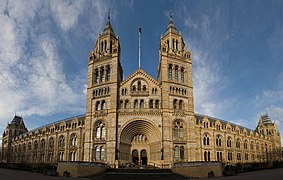 Musée d'histoire naturelle de Londres (1873-1880).